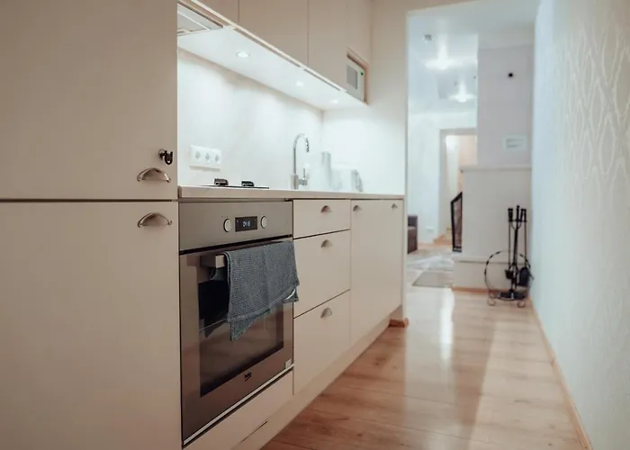 Apartament Dream - Spacious 1-bedroom In The Old Town Tallin